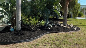 A garden area with various plants and a palm tree under a covered structure.