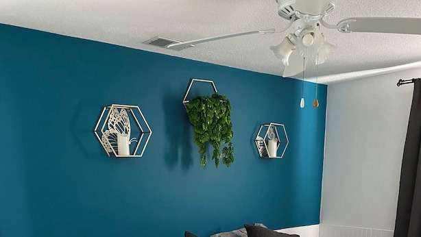A modern bedroom with a large bed, a small bedside table, and a wall-mounted plant.