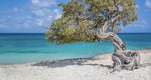 Una spiaggia nelle vicinanze, lettini da mare, teli da spiaggia