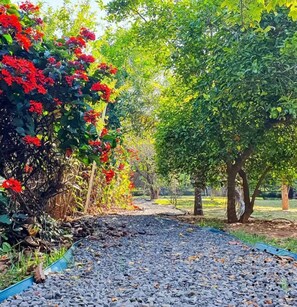 Hiking - Biomas Hotel (Brotas)