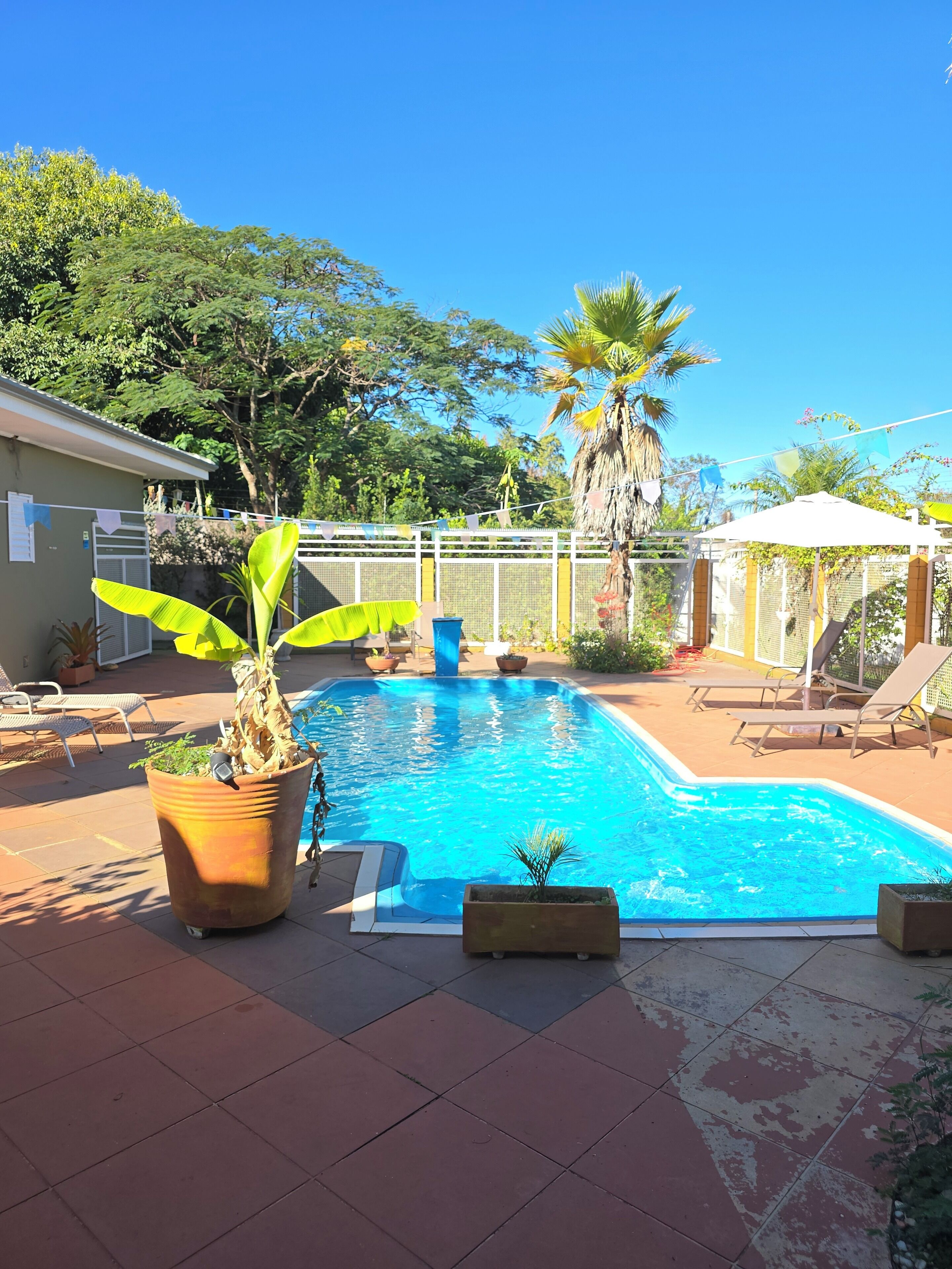 Outdoor pool, pool umbrellas, sun loungers
