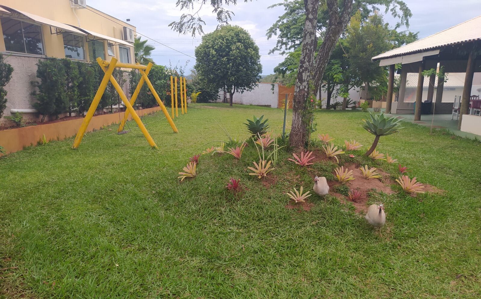 Área da propriedade