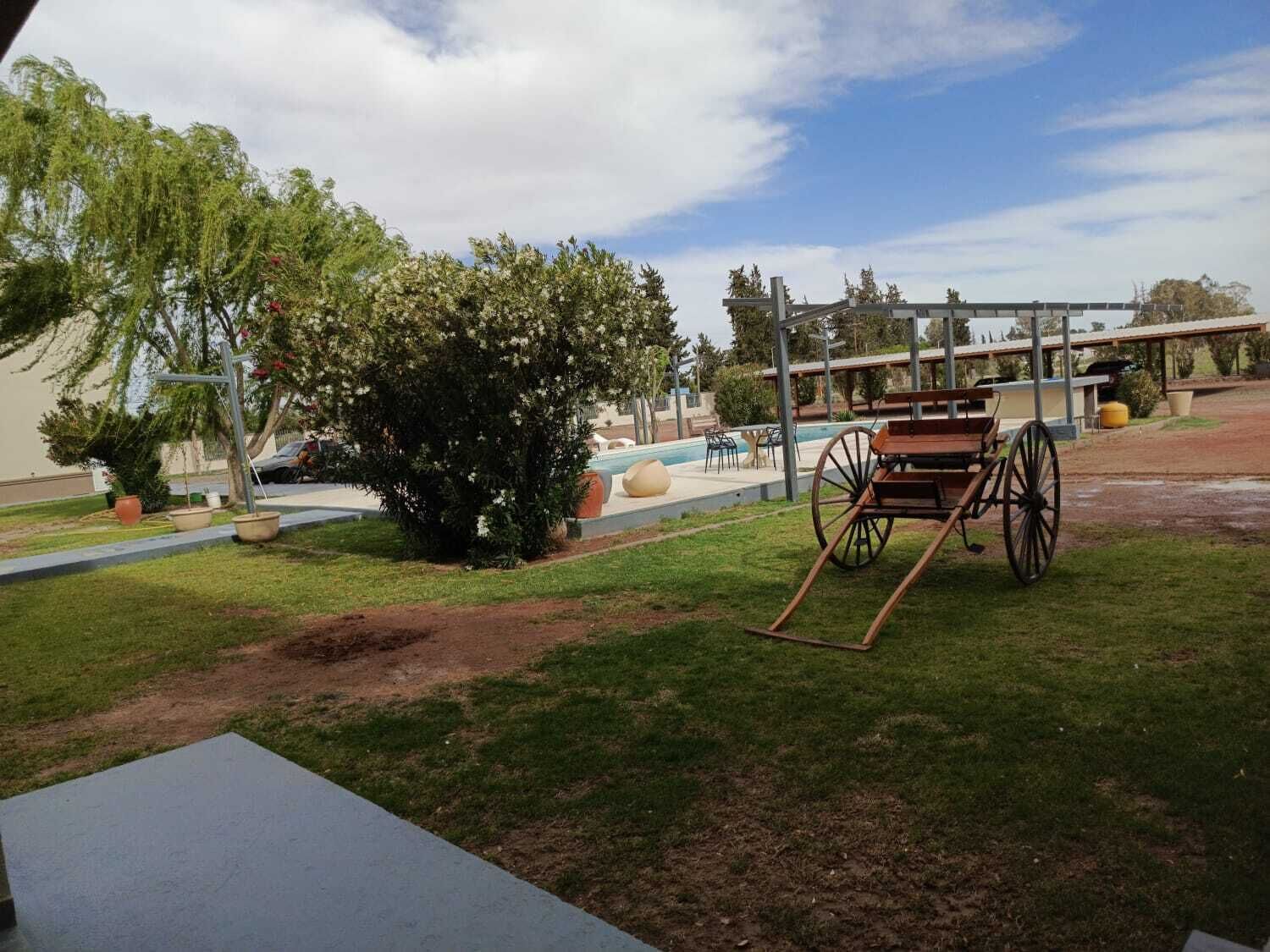 A pool area with a wooden cart, a small tree, and a building in the background.