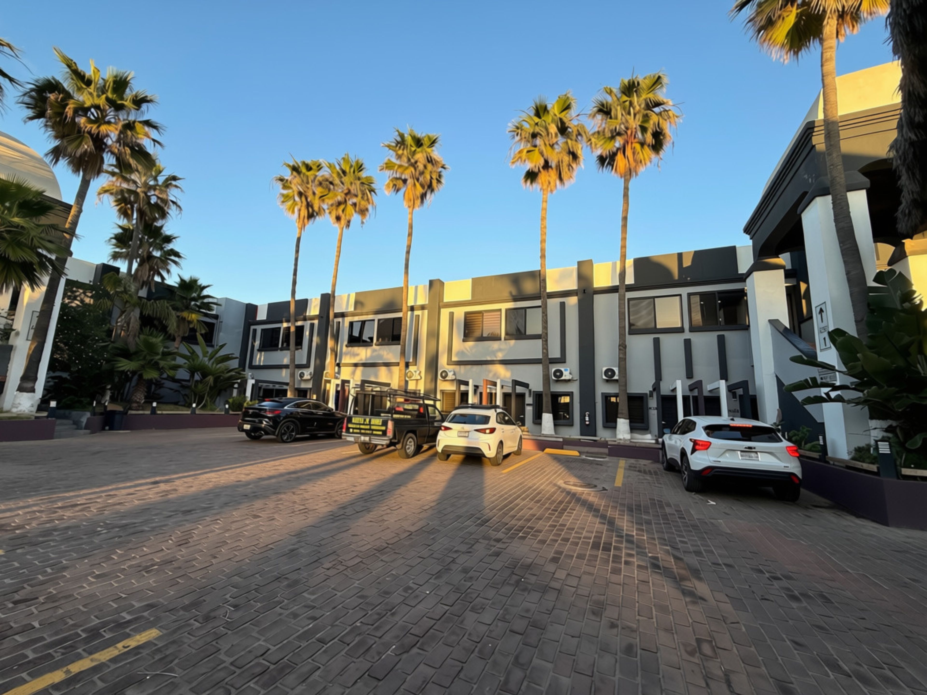 A modern building with a brick-paved entrance, parked cars, and palm trees.