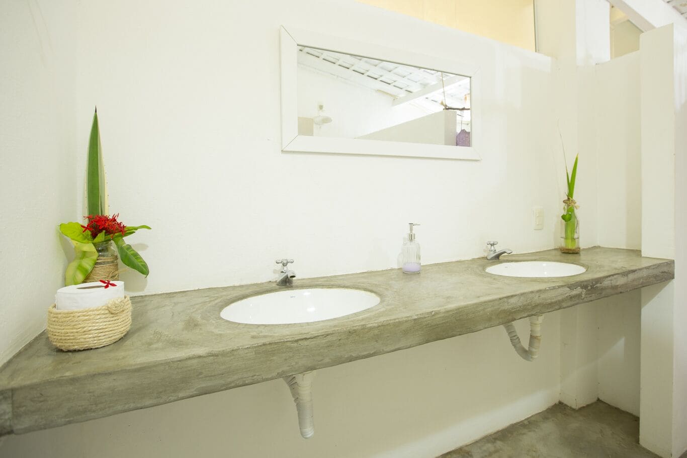 Un baño con dos lavamanos, un espejo y una planta.