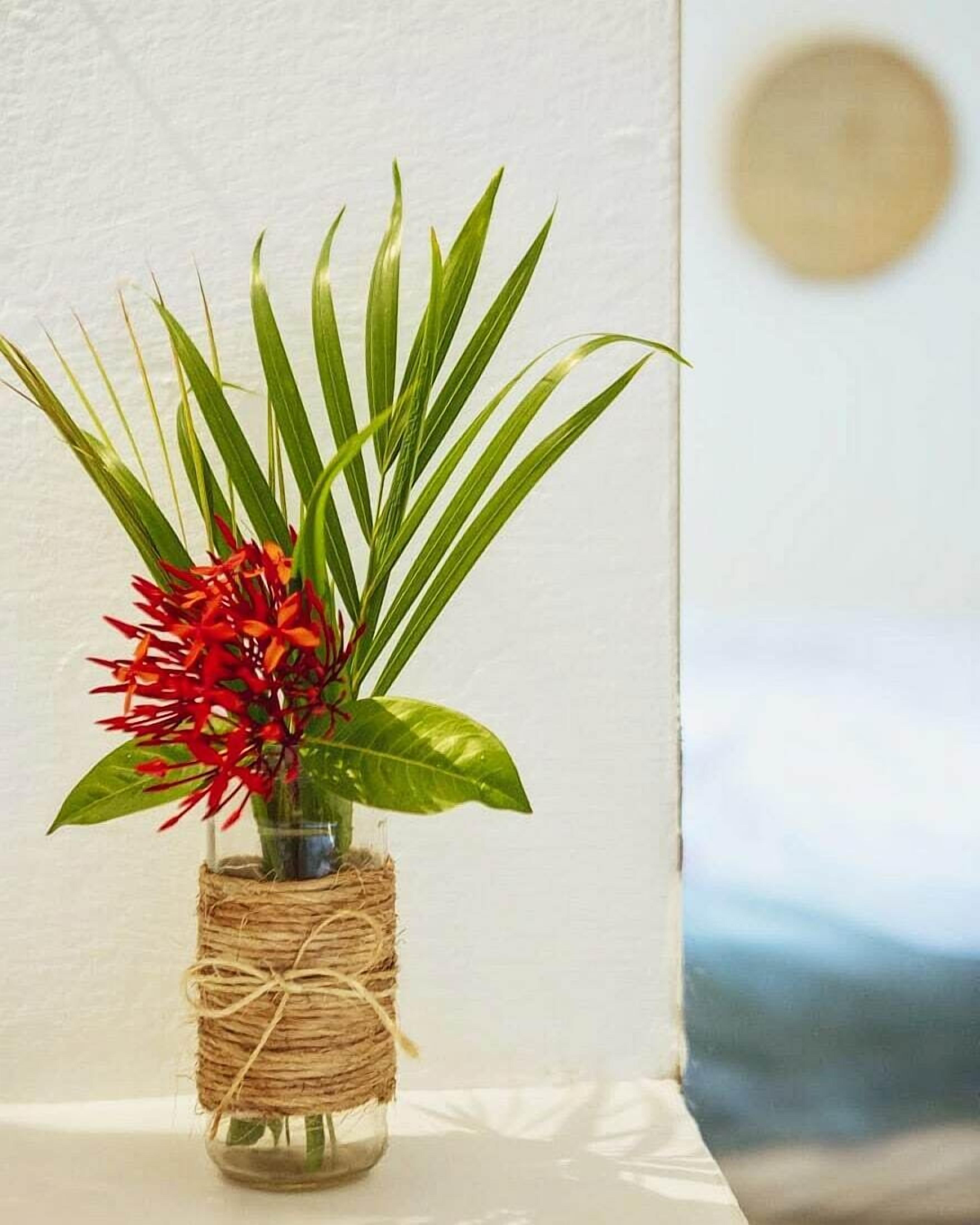 Eine Glasvase mit einer Pflanze und roten Blumen, verbunden mit einer Jutegarnitur, vor einer weißen Wand.