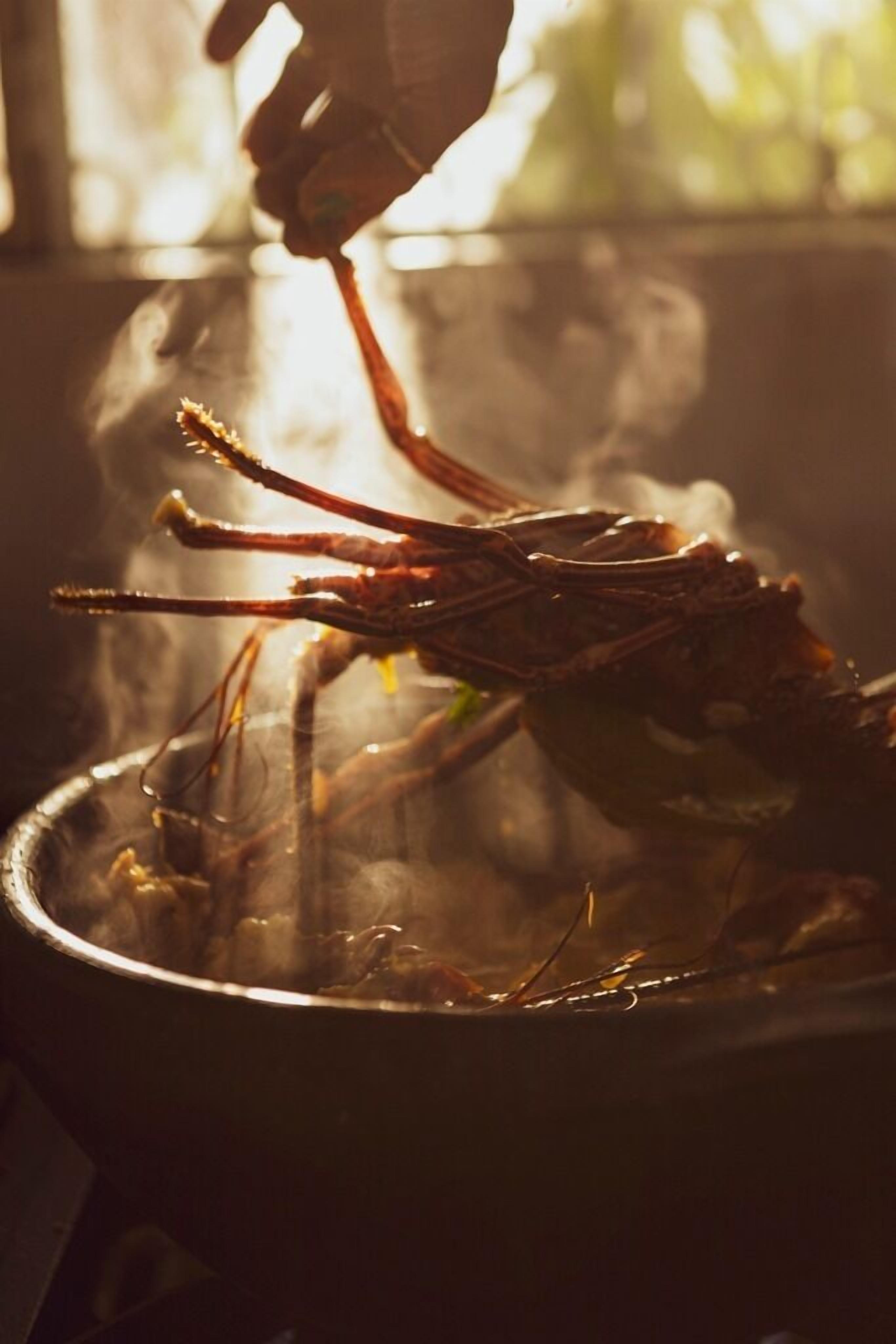 Una mano sosteniendo un langostino cocido sobre una olla.