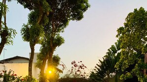 Una piscina amb una zona de solàrium a nivell, envoltada d'arbres i una zona de seients coberta.