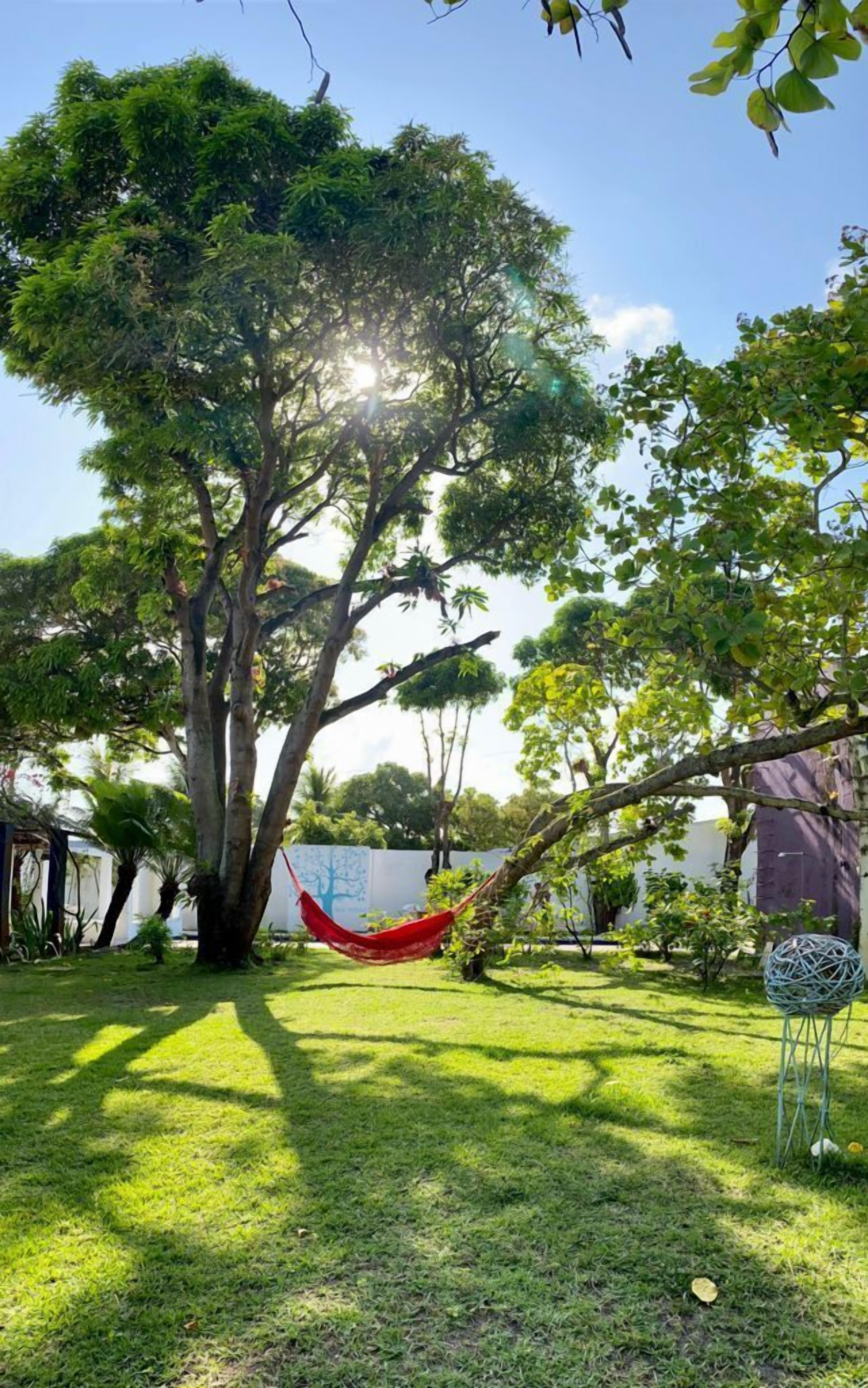 Un jardin bien entretenu, agrémenté d’un grand arbre, d’un hamac et d’une structure sphérique décorative.