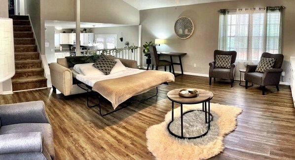 Smart TV, fireplace, books