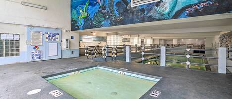 An indoor swimming pool with a mural of underwater scenery on the wall, a lifeguard station, and a sign indicating no diving allowed.