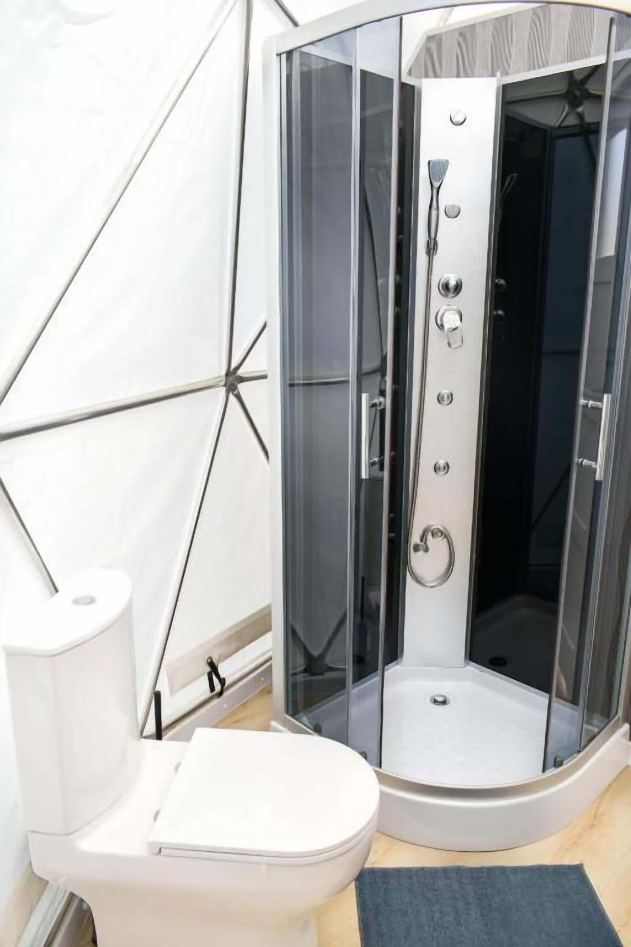 Une cabine de douche d’angle avec une porte en verre, des toilettes et un porte-serviettes.