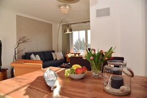 TV, fireplace, stereo - Modern 3-room apartment directly behind the Baltic Sea dyke - Logierhaus Friedrich (Zingst)