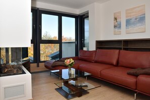 Télévision, cheminée, chaîne hi-fi