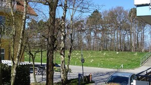 Un quartier résidentiel avec une colline herbeuse, des arbres et une voiture garée.