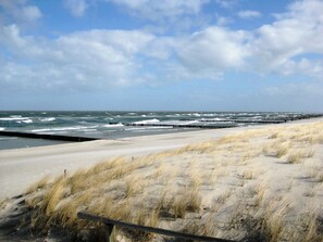 A beach with sand dunes and a wooden pier extending into the sea. - Comfortable vacation apartment in the first row to the Baltic Sea with balcony in Zingst - (Zingst)