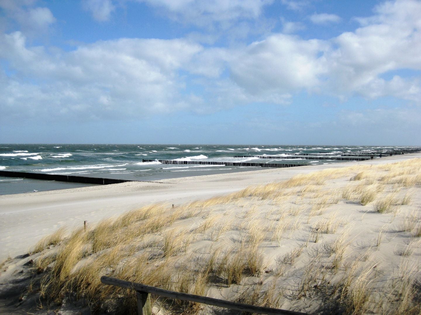 Ranta