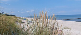 Modern apartment in the first row on the beach of Zingst with balcony - Residence