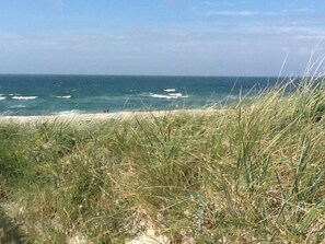 A beach with a grassy foreground and a clear view of the ocean. - Bright, comfortably furnished apartment right on the boardwalk and the beach - Residence (Zingst)
