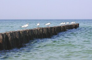 Botón de imagen sin clasificar, 4 de 27