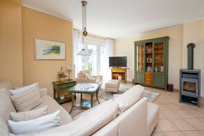 Télévision, cheminée, lecteur de DVD, chaîne hi-fi