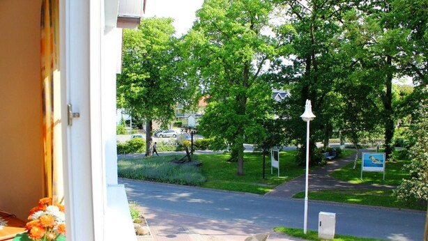 Une vue depuis une fenêtre donnant sur une rue bordée d’arbres et un trottoir.