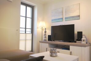 电视、壁炉、DVD 播放器、立体声音响