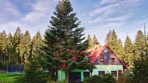 A house with a green exterior and a red roof, surrounded by tall trees and a grassy yard. - Beautiful private villa for 14 guests with WIFI, private pool, TV, terrace and panoramic view (Jablonec Nad Nisou)