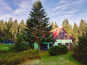 Property grounds - Wonderful private villa for 14 guests with WIFI, private pool, TV, terrace and panoramic view (Jablonec Nad Nisou)