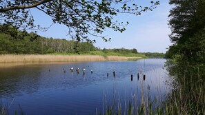 Image sans description, 3 de 28, bouton