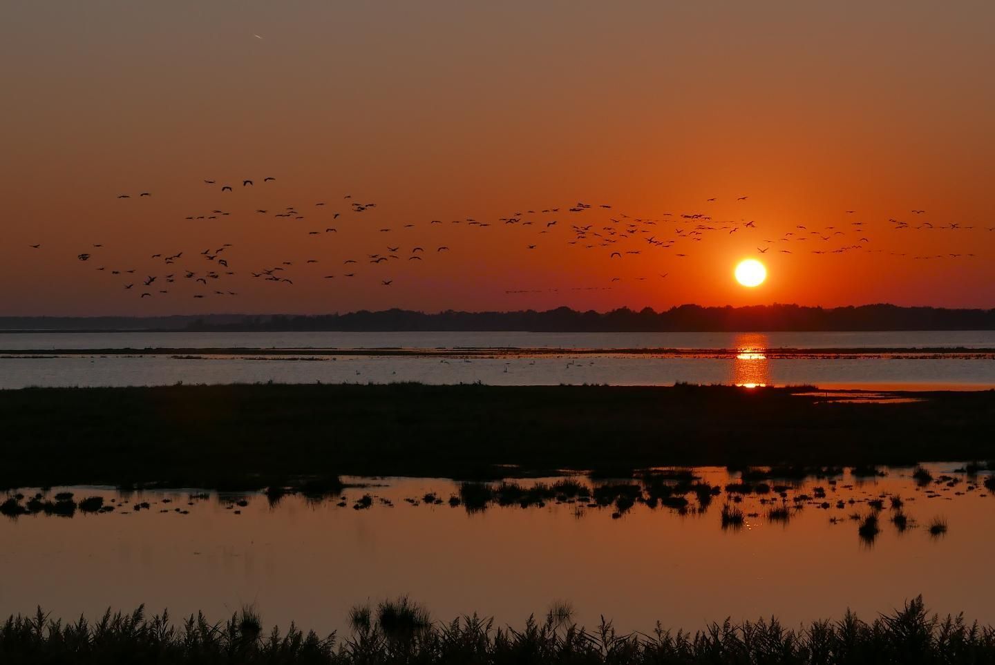 A sunset over a calm body of water with a silhouette of land in the background.