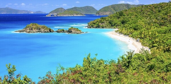 بالقرب من الشاطئ