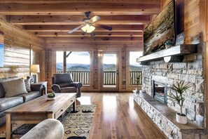 Smart TV, chimenea, reproductor de DVD y libros 