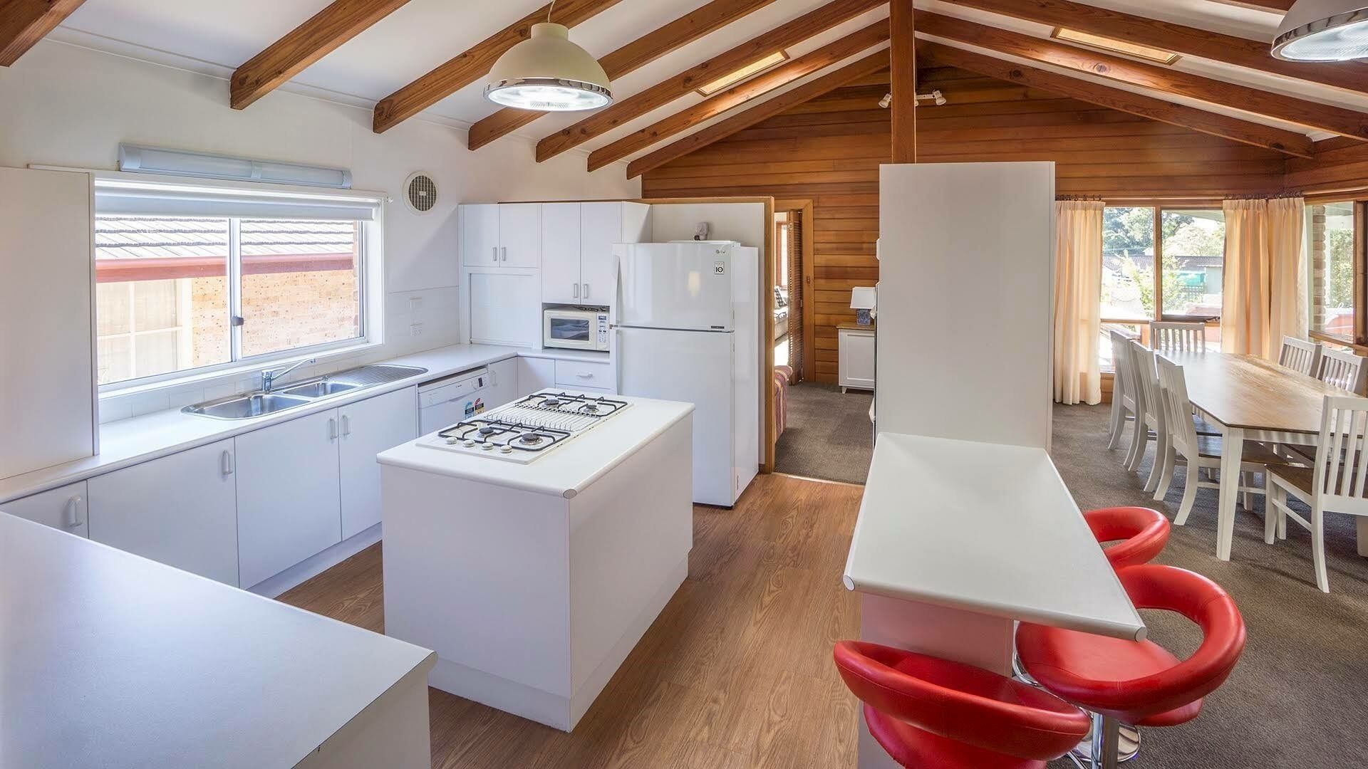 Top 8 Pet & DogFriendly In Mollymook, Australia