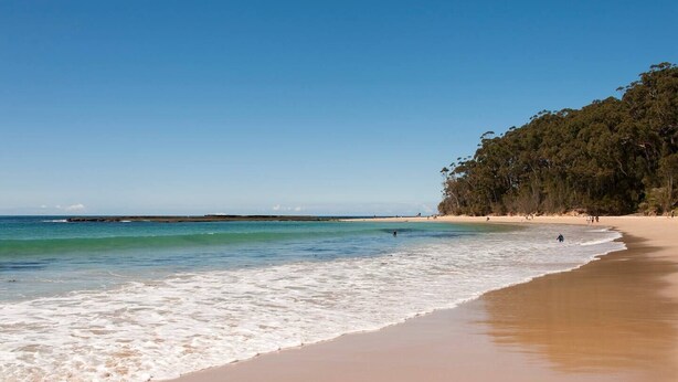 Uma praia com águas azul-claras, areal arenoso e uma área arborizada ao fundo.