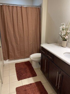 Combined shower/bathtub, towels, soap, toilet paper - NRG/Med Center Retreat Pool, Gym,WIFI (Houston)