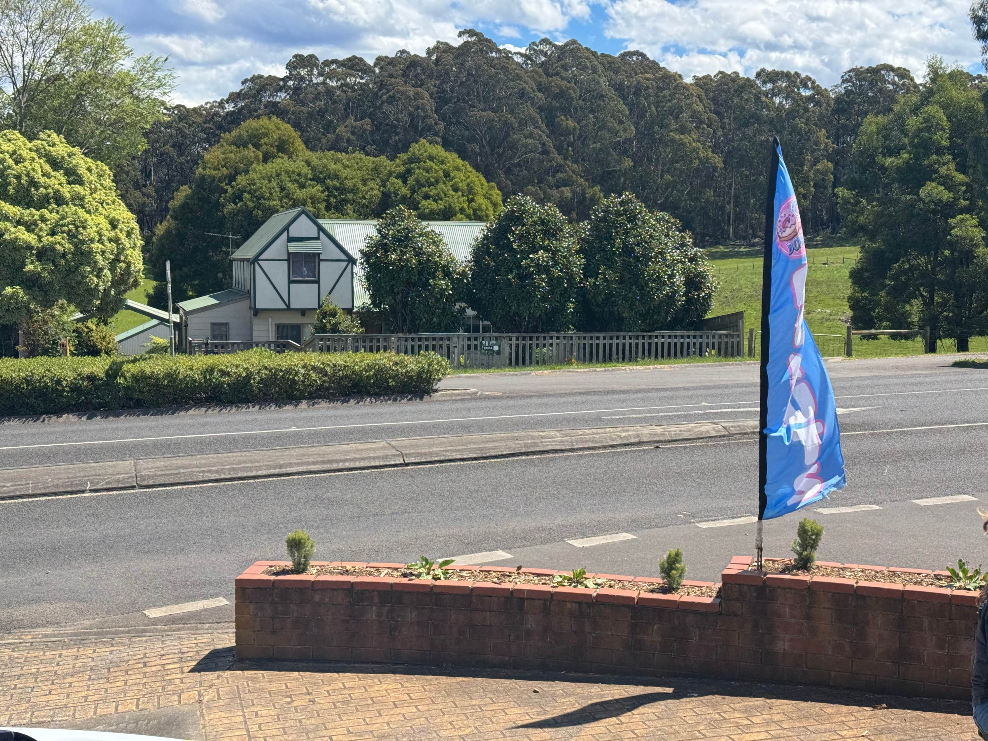 A road with a flag, a building with a green roof, and trees in the background.