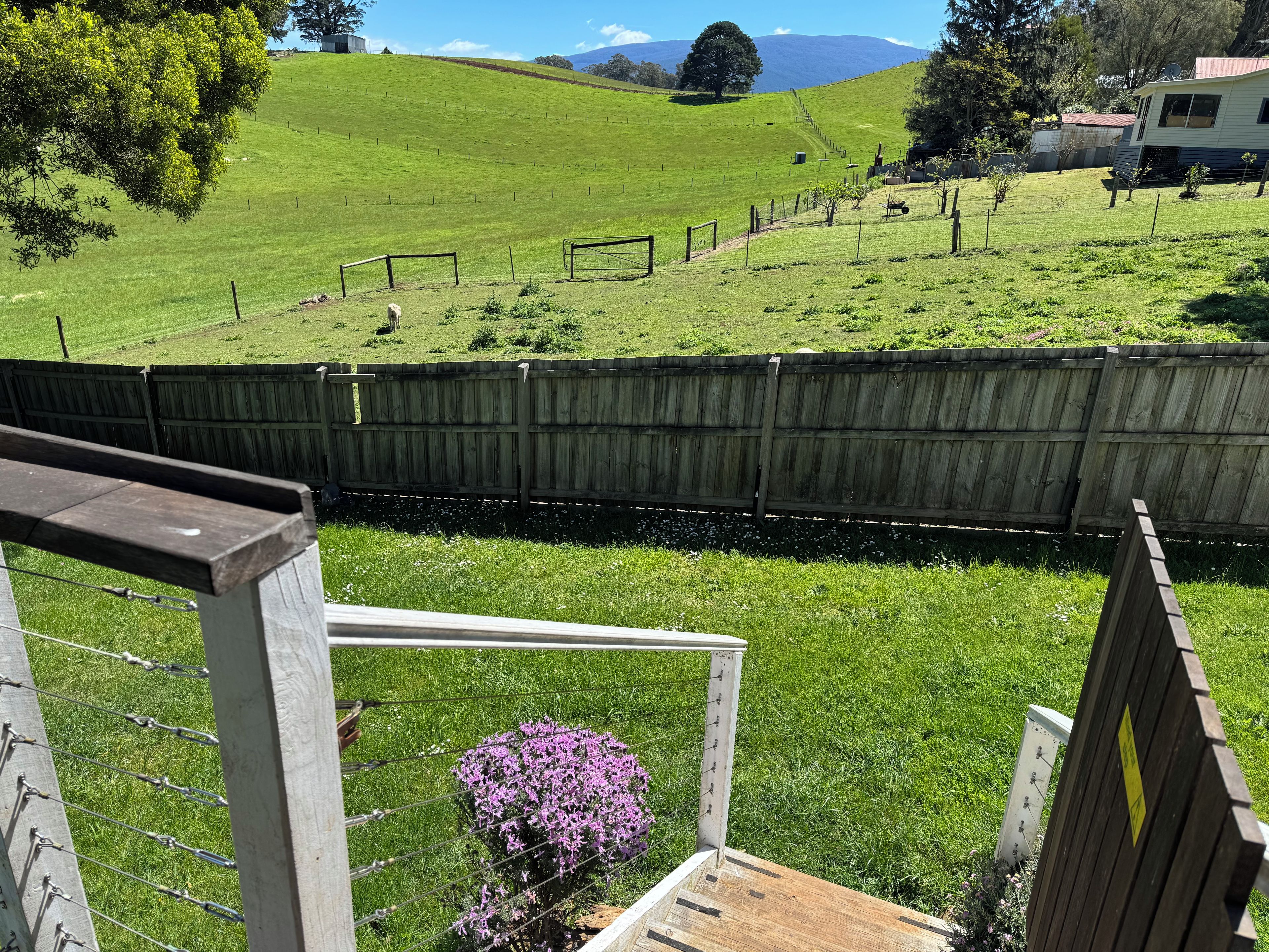 Un espacio exterior cercado con una terraza de madera, un arbusto pequeño con flores moradas, y vista a un campo verde con una valla y un edificio en la distancia.