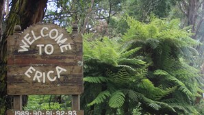 A wooden welcome sign with the text "WELCOME TO ERICA" and a list of years. - "Experience the ultimate retreat surrounded by the untouched beauty of nature.  (Erica)