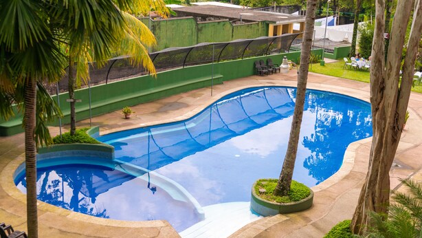 A swimming pool with a curved design, surrounded by palm trees and a green wall.