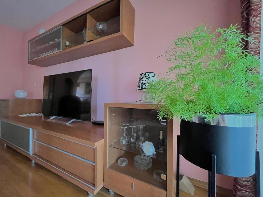 A living room with a wooden entertainment unit, a flat-screen TV, and a potted plant.