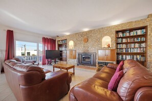 Télévision, cheminée, lecteur de DVD, chaîne hi-fi