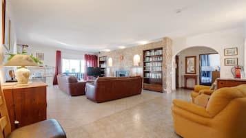 Télévision, cheminée, lecteur de DVD, chaîne hi-fi