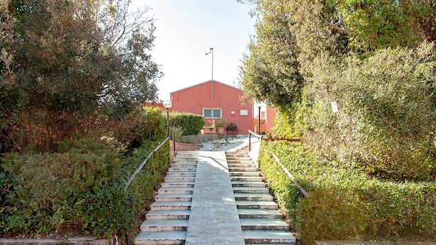 A staircase leading to a building with a red roof, surrounded by greenery.