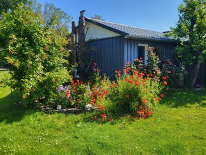 Immagine non classificata, 5 di 29, pulsante