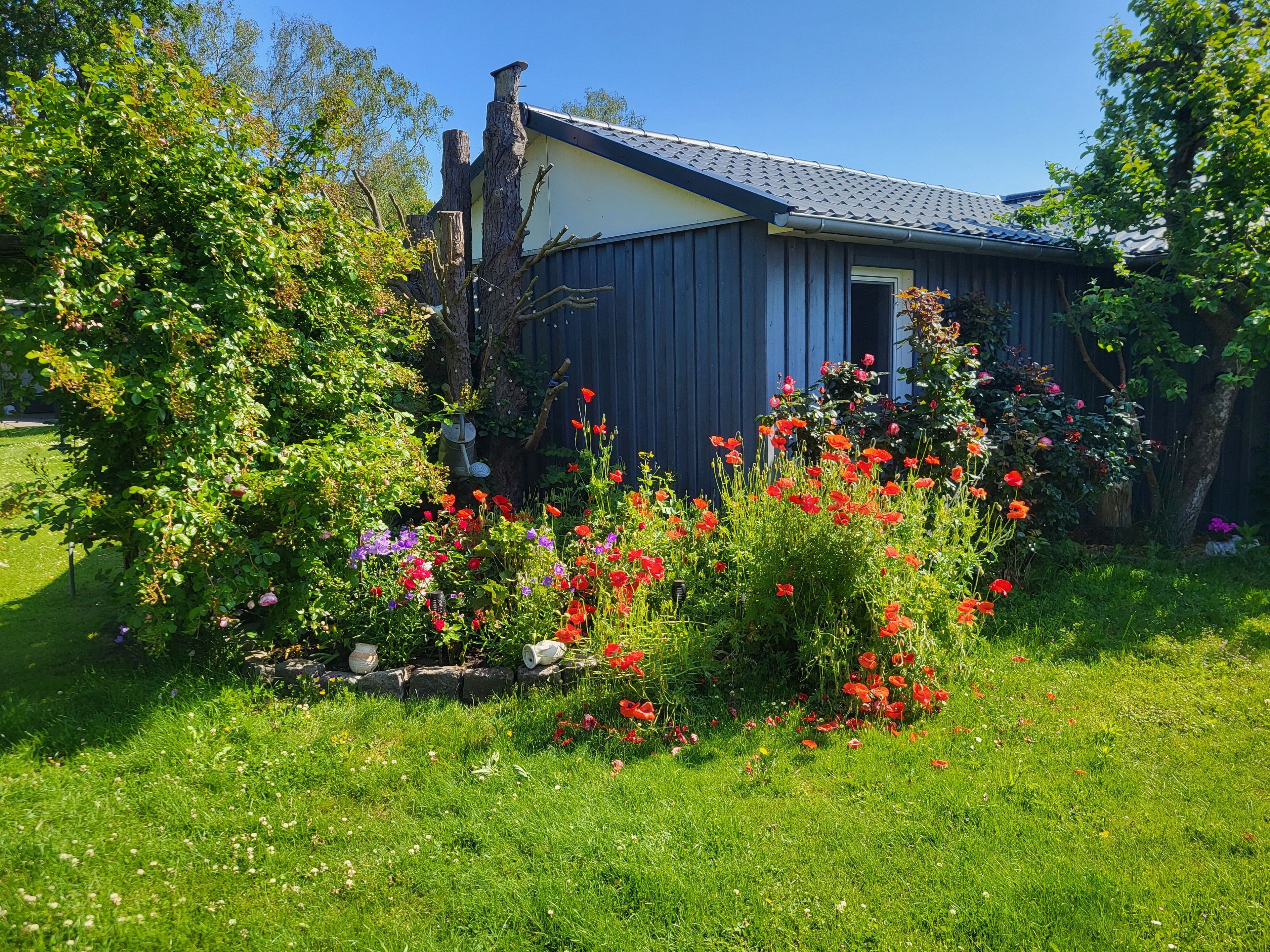 Een huis met een tuin met rode bloemen en een boom.