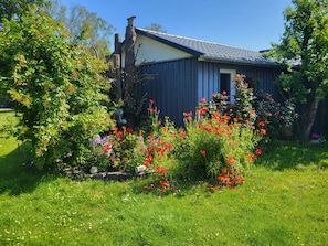 A house with a garden featuring red flowers and a tree. - Cathrins Boddenblick - Cathrin`s Boddenblick (Wustrow)