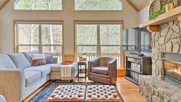 TV, fireplace, video games, DVD player