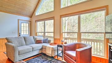 TV, fireplace, video games, DVD player