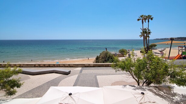 A beach view with umbrellas, palm trees, and a clear sky. - Apartment 'Beira Mar' with Sea View, Terrace & Wi-Fi (Armação de Pêra)